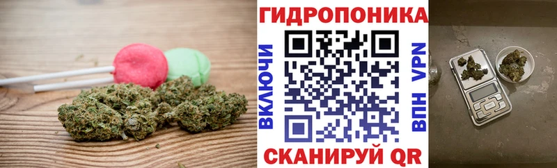 Canna-Cookies марихуана  гидра онион  Губкинский 