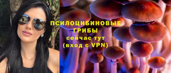 молекула духа Баксан