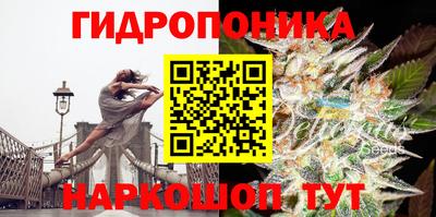 шишки Кунгур