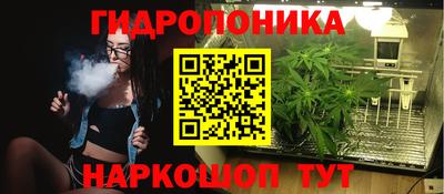 стаф Кулебаки