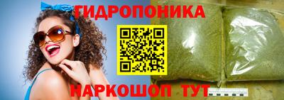 шишки Лесосибирск