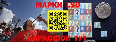 стаф Кулебаки