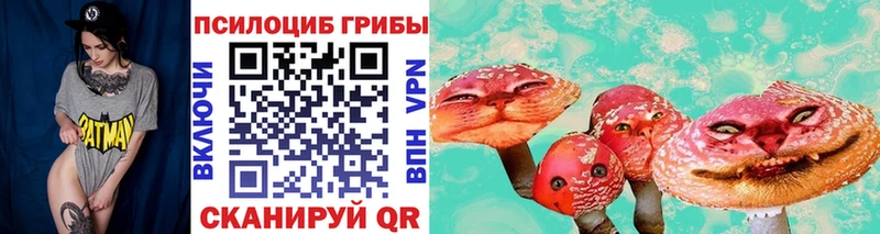 Псилоцибиновые грибы GOLDEN TEACHER  Губкинский 