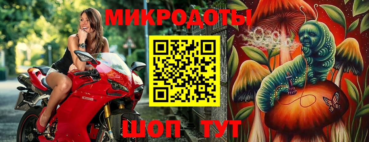 Псилоцибиновые грибы GOLDEN TEACHER Губкинский