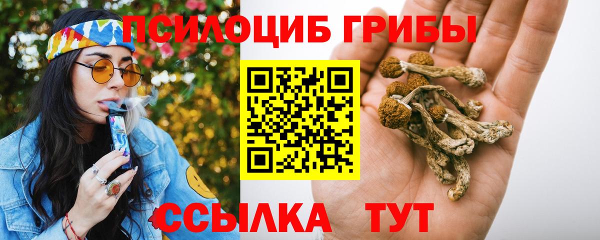 Псилоцибиновые грибы мухоморы  Вход с VPN  Псилоцибиновые грибы GOLDEN TEACHER  Губкинский 
